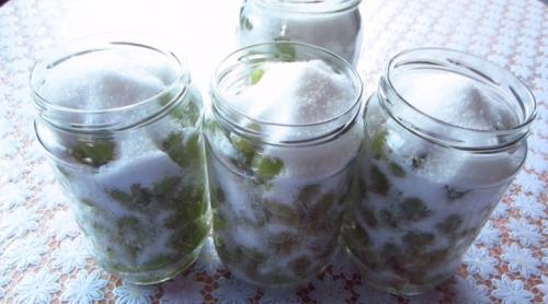 Виноград на зиму рецепты. Сладкий виноград в сиропе на зиму