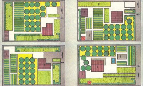 На, каком расстоянии сажать карликовые яблони друг от друга. Если яблоньки на карликовом подвое?