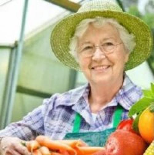 Как укрыть виноград на зиму очень хороший способ. Способы укрытия и виды материалов