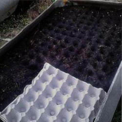 Инструмент для посадки лука. Разновидности маркеров