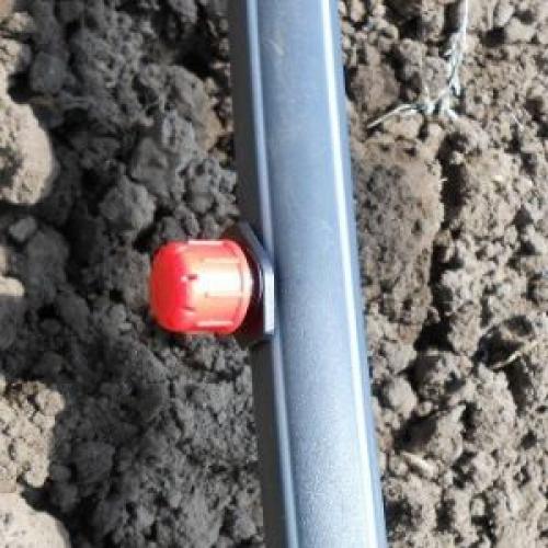 Капельный полив для клубники своими руками. Капельный полив 01