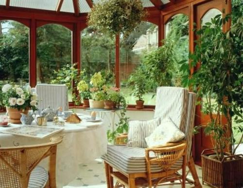 Как ухаживать за ранеткой. Совет 5 : Как ухаживать за комнатными растениями летом