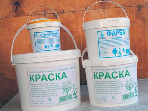 Когда белить яблони осенью. Предназначение осенней побелки 08