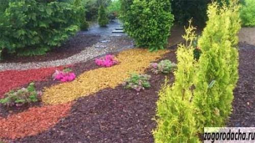 Кора сосны для мульчирования своими руками. Сосновая кора, как мульча для сада 04 Кора сосны для мульчирования своими руками. Сосновая кора, как мульча для сада 04