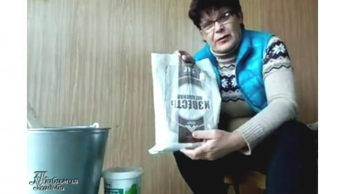 Когда белить яблони осенью. Предназначение осенней побелки 07