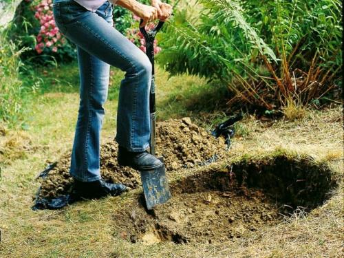 Подготовка ямы для посадки яблони осенью. Подготовка места 03 Подготовка ямы для посадки яблони осенью. Подготовка места 03