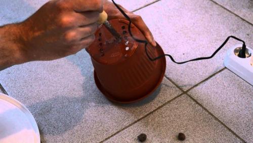 Гидропоника своими руками. Самодельная гидропоника — лучший способ для быстрого выращивания на воде! (148 фото)