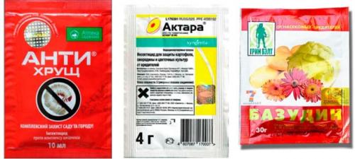 Как бороться с личинкой майского жука на клубнике. Как избавиться от личинок майского жука на клубнике