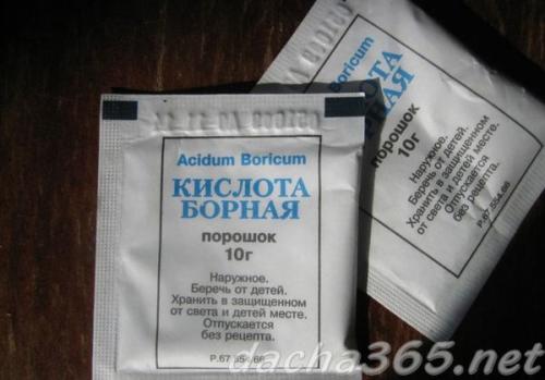 Когда удобрять яблоню. Как правильно удобрять яблоню, какие виды подкормок бывают, их специфика