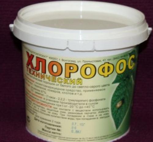 Чем обрабатывать осенью яблони. Как опрыскивать яблоню и другие плодовые деревья осенью: правила и рекомендации 05 Чем обрабатывать осенью яблони. Как опрыскивать яблоню и другие плодовые деревья осенью: правила и рекомендации 05