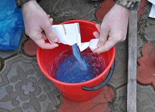 Чем обрабатывать осенью яблони. Как опрыскивать яблоню и другие плодовые деревья осенью: правила и рекомендации