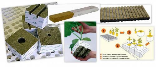 Гидропоника своими руками. Самодельная гидропоника — лучший способ для быстрого выращивания на воде! (148 фото)