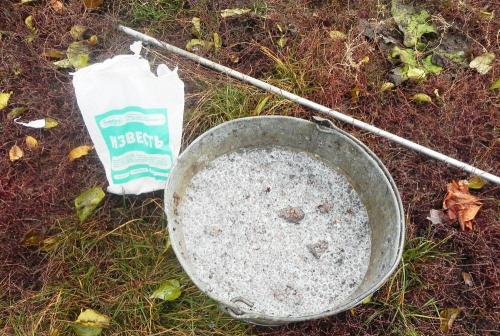 Когда красить яблони осенью. Советы и вопросы