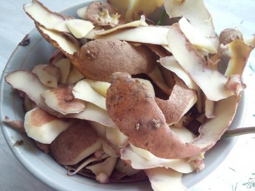 Мелкий картофель под смородину. Подкормка смородины крахмалом. Картофелем