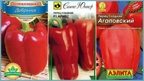 Лучшие сорта сладкого перца для подмосковья. Лучшие из сортов и гибридов сладкого болгарского перца, пригодных для выращивания в Подмосковье