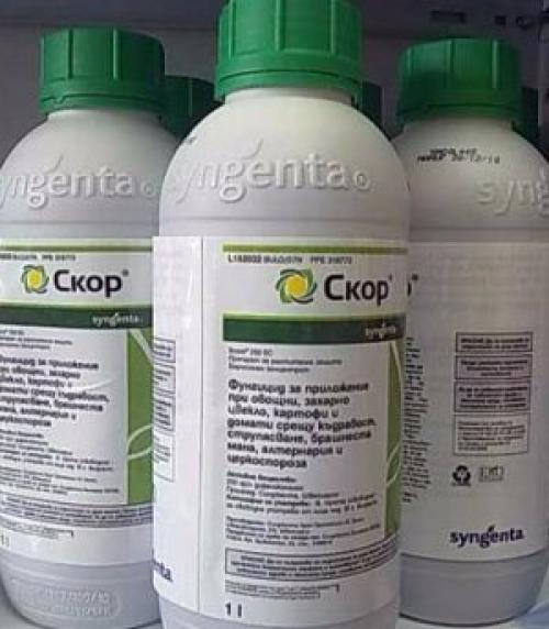 Чем обрабатывать осенью яблони. Как опрыскивать яблоню и другие плодовые деревья осенью: правила и рекомендации 03 Чем обрабатывать осенью яблони. Как опрыскивать яблоню и другие плодовые деревья осенью: правила и рекомендации 03