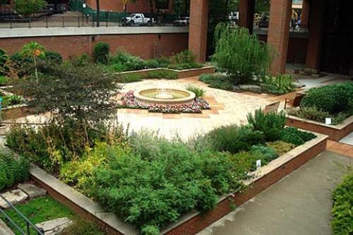 Полезные растения в саду и огороде. Полезные растения в саду 07 Полезные растения в саду и огороде. Полезные растения в саду 07