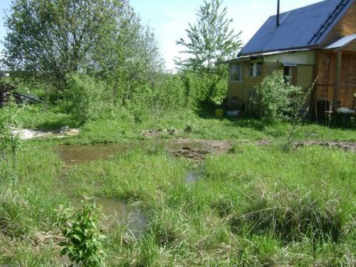 При, какой температуре растет картофель. Какую минусовую температуру выдерживает культура, и при, какой замерзает