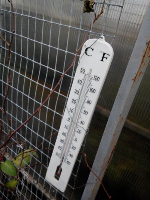 Сезон винограда. Когда начинать виноградный сезон? Из дневника виноградаря