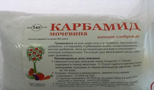Когда удобрять яблоню. Как правильно удобрять яблоню, какие виды подкормок бывают, их специфика