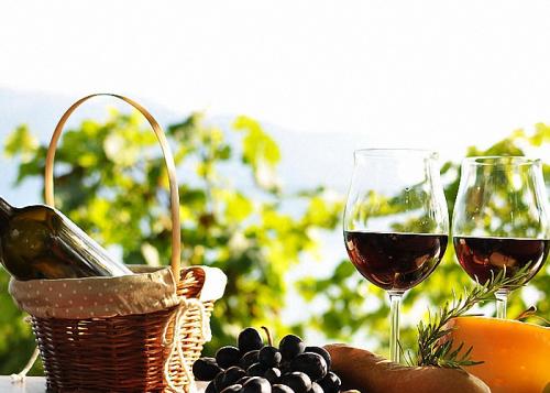 Виноград не вызрел, что делать. Изготовление вина из красного винограда