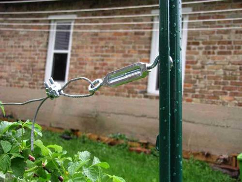 Как подвязать малину картинки. Шпалера для малины: особенности применения приспособления