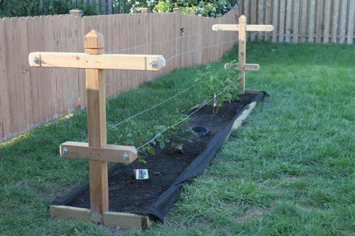 Как сделать шпалеру для малины. Шпалера для малины: особенности применения приспособления 02 Как сделать шпалеру для малины. Шпалера для малины: особенности применения приспособления 02