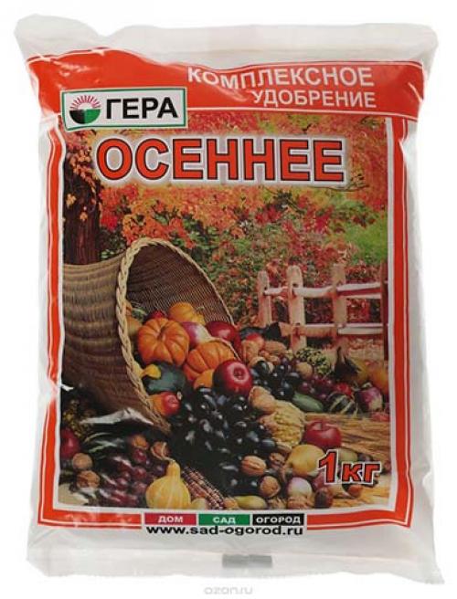 Как правильно обработать осенью клубнику. Подкормка клубники после плодоношения и осенью