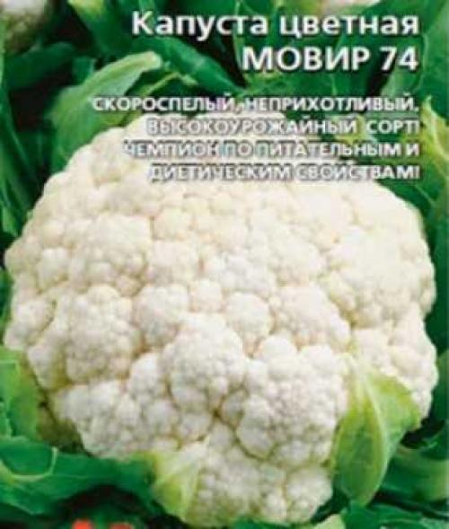 Семена капусты лучшие сорта. Лучшие сорта ранней капусты 06