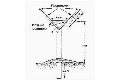 Обустройство малинника. Виды шпалер