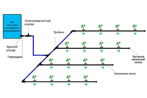 Автоматический полив для огорода. Автоматический полив огорода на даче