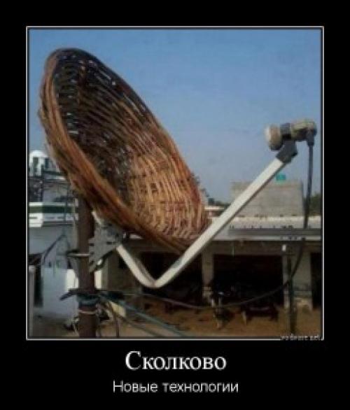 Подготовка виноградной лозы к зиме в подмосковье. Как правильно подготовить к зиме молодые кусты 06