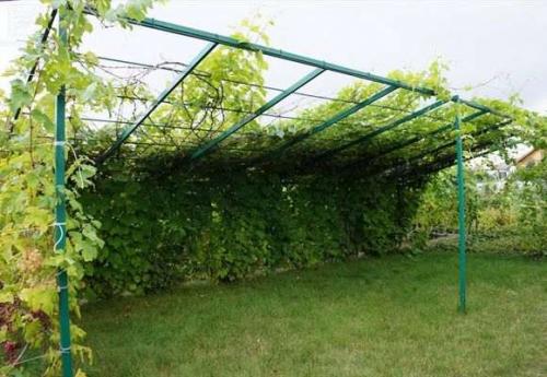 Виноградная беседка своими руками. Конструкции беседок