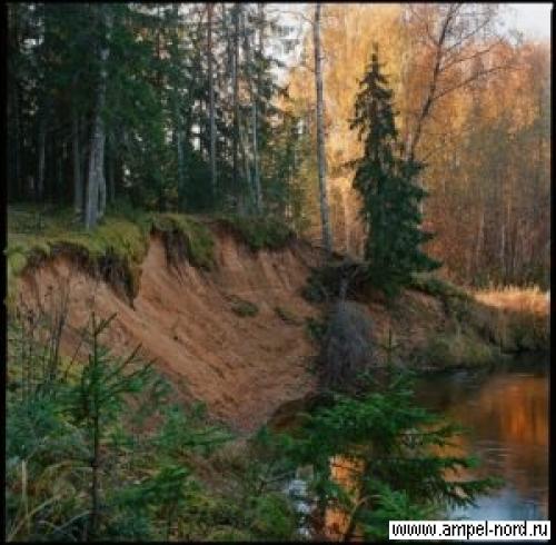 Когда поливать осенью виноград. подзимний полив винограда