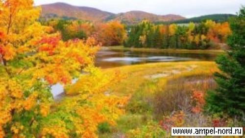 Когда поливать осенью виноград. подзимний полив винограда