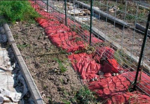 Как укрыть виноград на зиму очень хороший способ. Способы укрытия и виды материалов