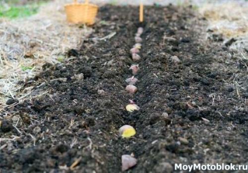 Распашка картофеля мотоблоком. Посадка картофеля мотоблоком