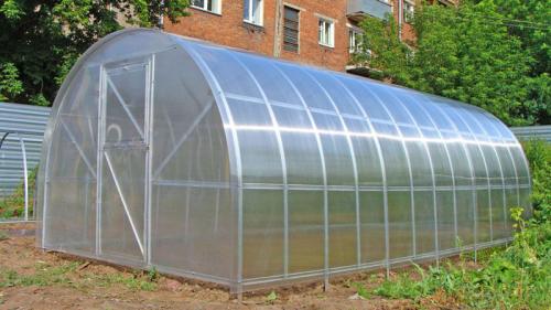 Семена помидор для теплиц. Урал, или время выращивать помидоры