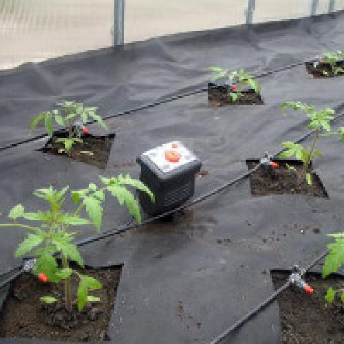 Как собрать капельный полив. Система капельного полива своими руками