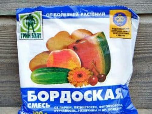 Народные средства от парши груши. Лечение