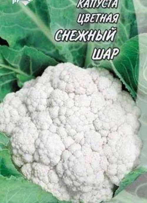 Семена капусты лучшие сорта. Лучшие сорта ранней капусты 07