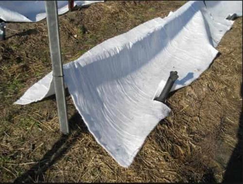 Как укрыть виноград на зиму очень хороший способ. Способы укрытия и виды материалов