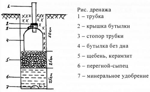 Полив и подкормка винограда. Организация системы полива и подкормки винограда
