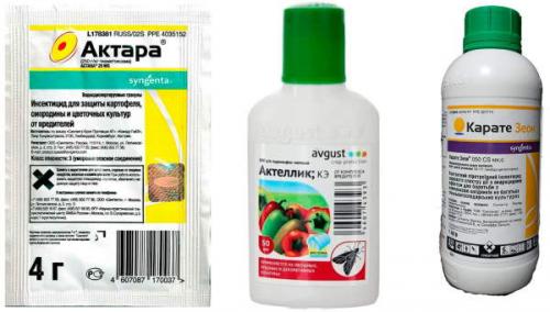 Как бороться с крестоцветной блошкой на капусте. Крестоцветная блошка на капусте –, как бороться с помощью химических и народных средств 07