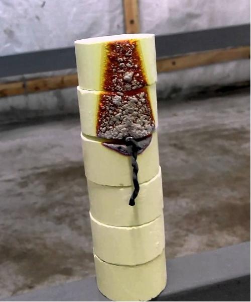 Как обеззаразить почву в огороде. Биологический метод 04