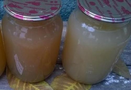 Как закупорить виноград на зиму. Как приготовить сок из винограда в соковарке: