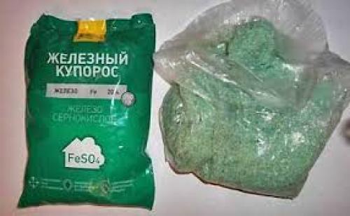 Железный купорос обработка осенью винограда. Чем обрабатывают виноград осенью 01