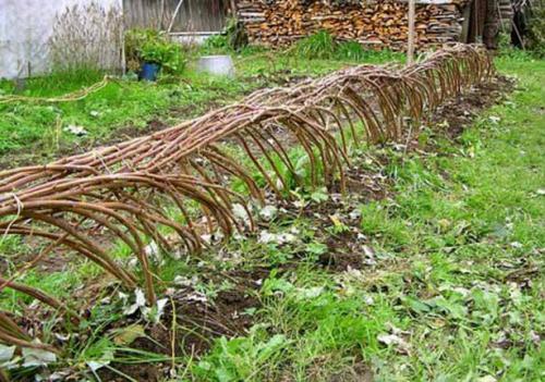 Скандинавский способ подвязки малины. Особенности подвязки малины весной и осенью