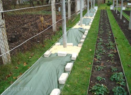 Подготовка виноградной лозы к зиме в подмосковье. Как правильно подготовить к зиме молодые кусты 12 Подготовка виноградной лозы к зиме в подмосковье. Как правильно подготовить к зиме молодые кусты 12