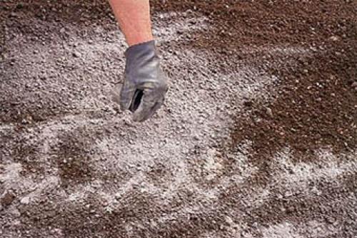 Пыловка для огорода применение. Разновидности и их использование 07 Пыловка для огорода применение. Разновидности и их использование 07